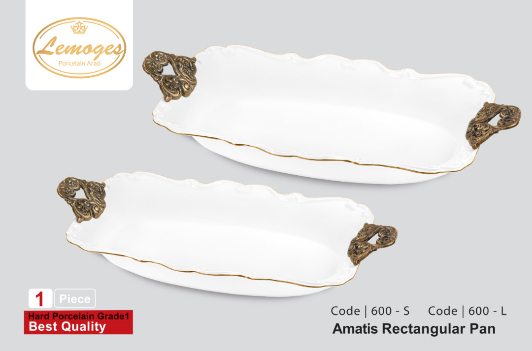 کارینا تابه مستطیل آماتیس کوچک 600 (8)